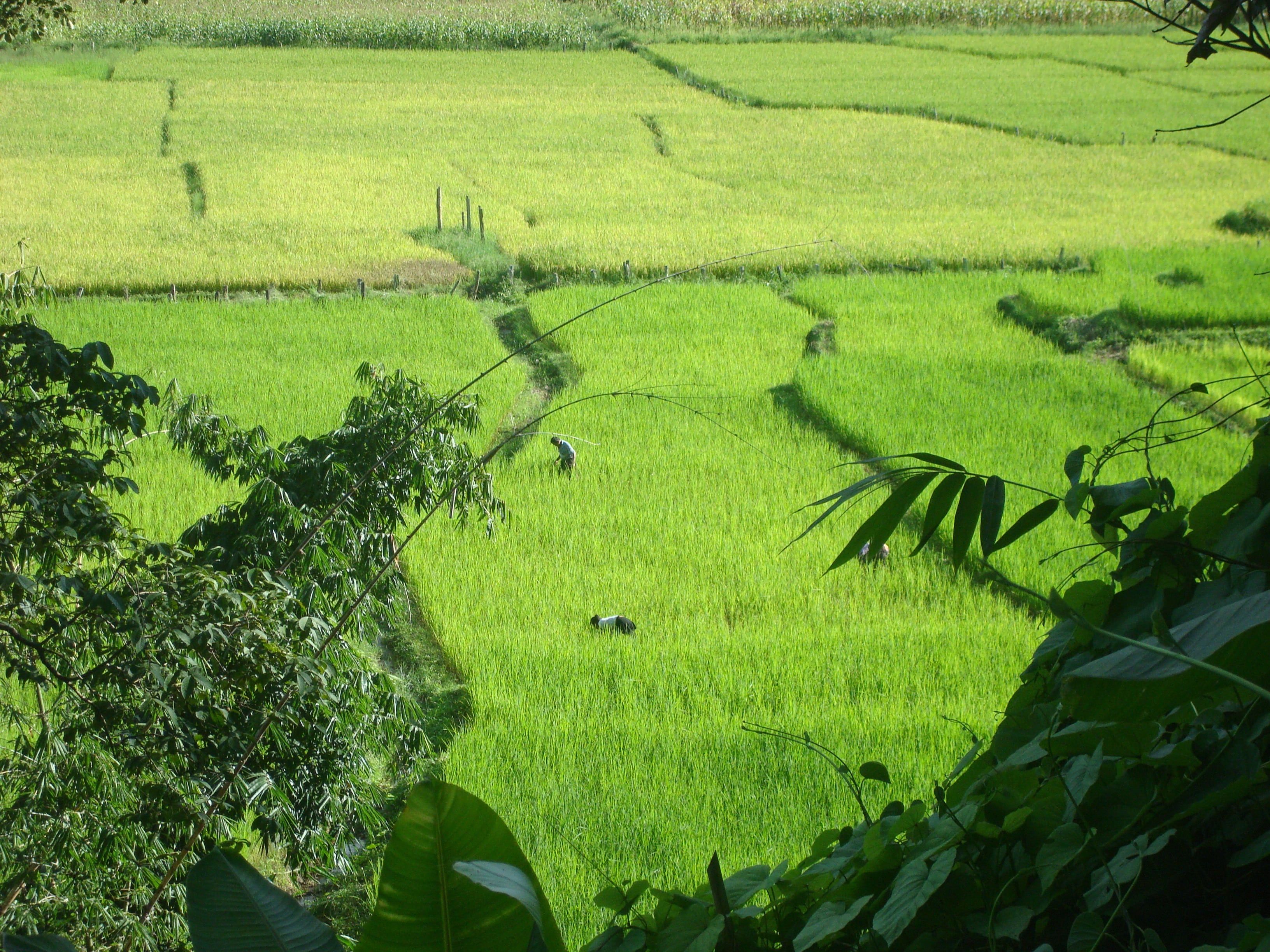 Loikaw natural view picture