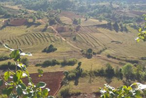 inle community tour