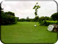 Popa Golf Club 3