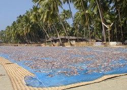 ngapali beach