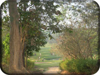 Yangon Golf Club picture 3