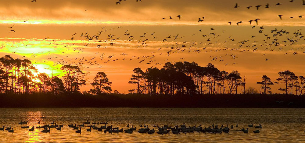 Indawgyi lake wildlife sanctuary columbus travels tours